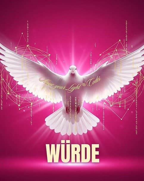 Shine your light® Wahre Würde Codes